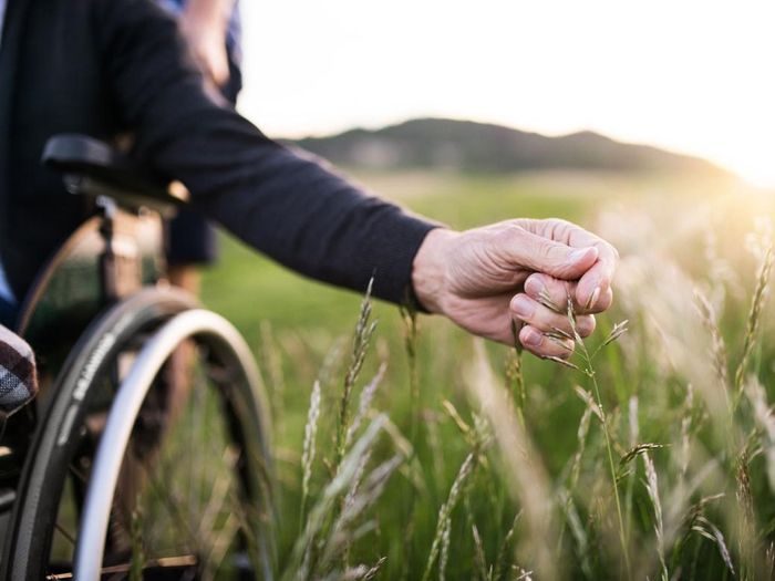 Personne en fauteuil roulant dans la nature, massage adapté au handicap en Normandie